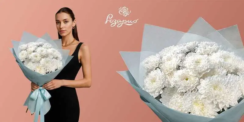 Букет из белых хризантем, фронтальный вид в руках у девушки